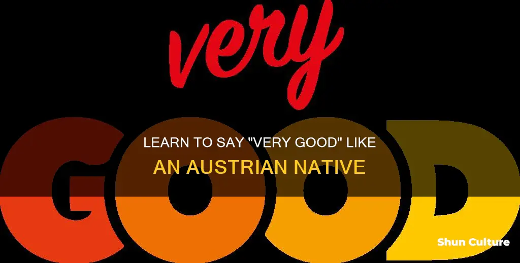 how to say very good in austrian