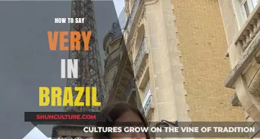 Mastering Brazilian Portuguese: How to Express 'Very' Like a Local