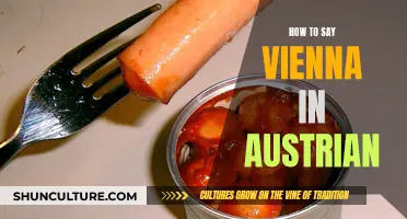 Mastering the Art of Saying 'Vienna' in Austrian: A Guide