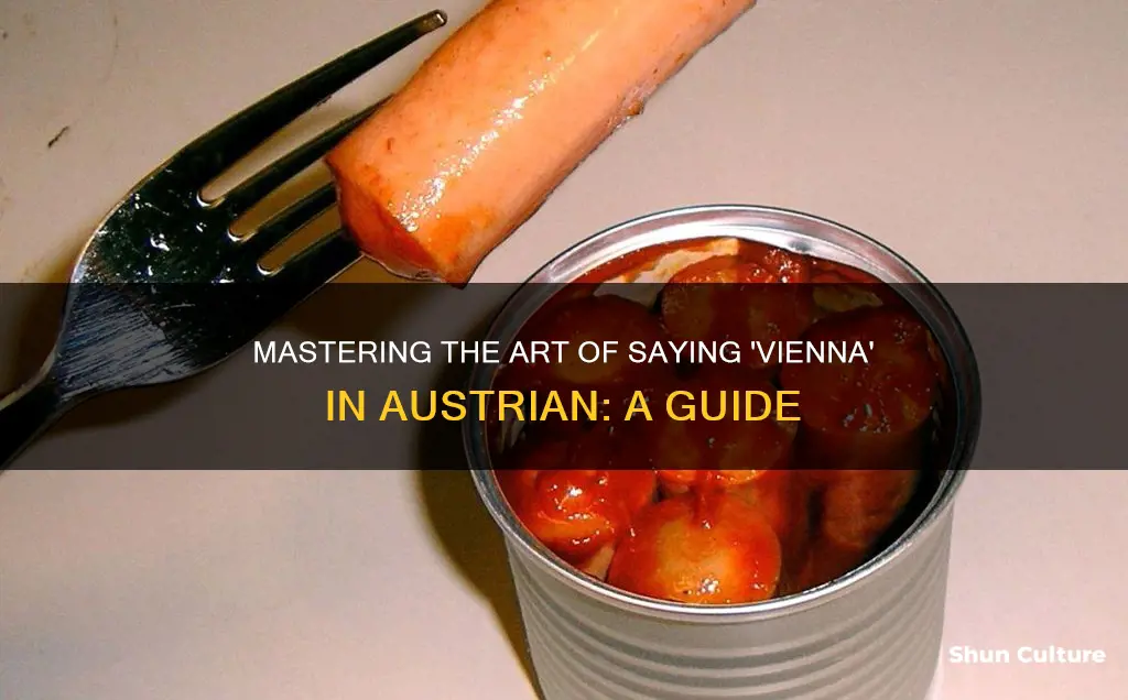 how to say vienna in austrian