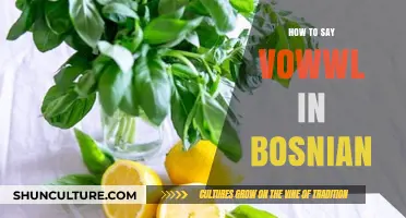 Mastering Bosnian Vowels: A Simple Guide to Pronouncing Vowwl Correctly