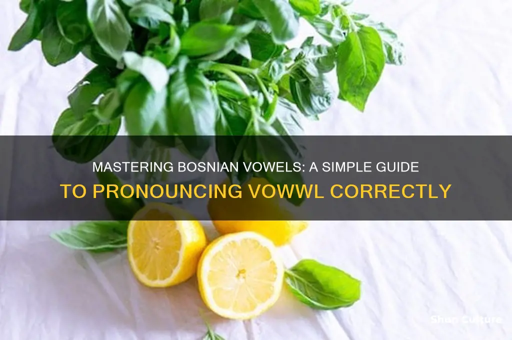how to say vowwl in bosnian