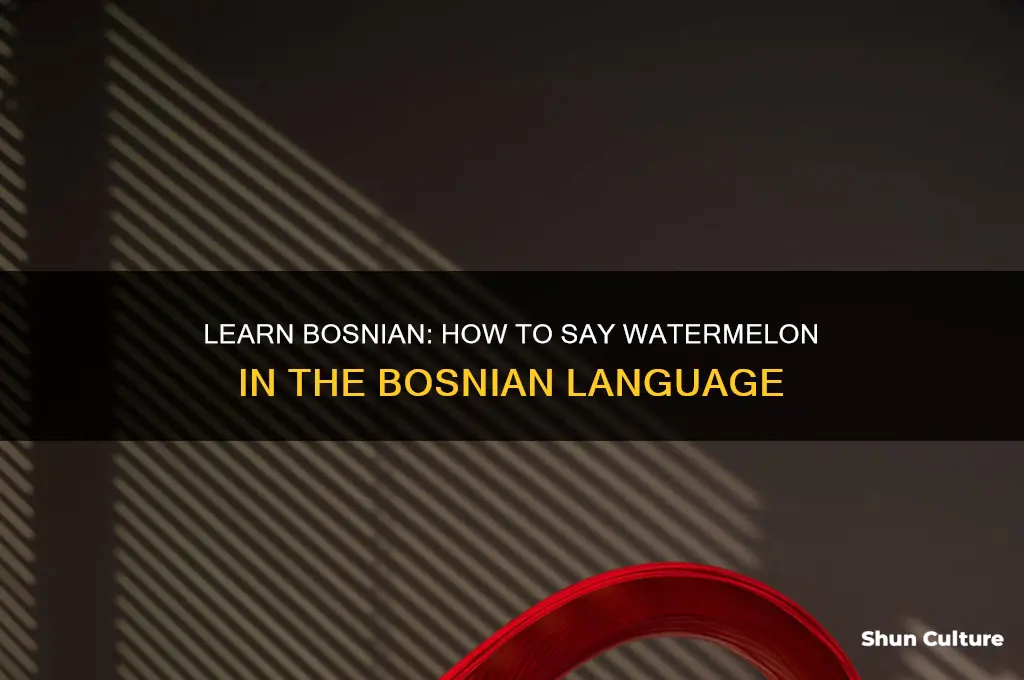 how to say watermelon in bosnian