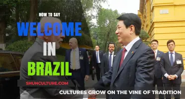 Warm Greetings in Brazil: Mastering the Art of Saying Welcome
