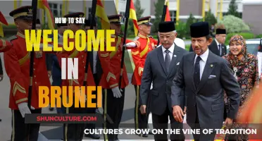 Greetings in Brunei: Welcoming Guests with Warmth and Culture