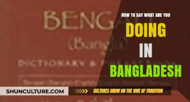 What Are You Doing in Bengali: A Quick Bangladesh Phrase Guide