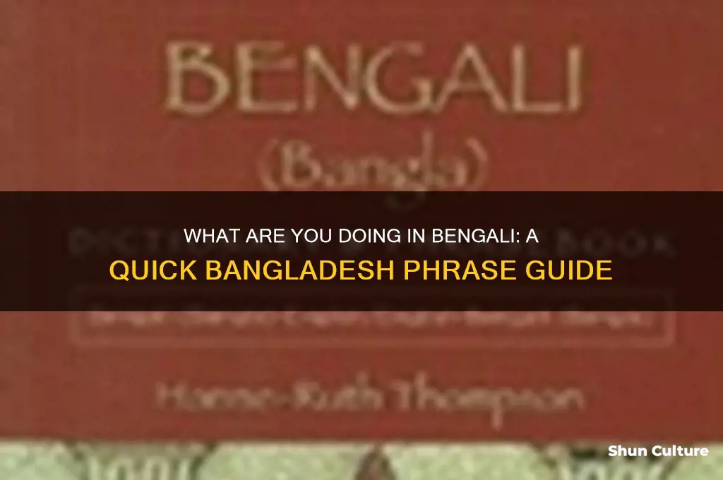 how to say what are you doing in bangladesh