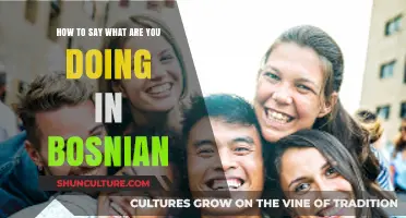 Learn Bosnian Basics: How to Ask 'What Are You Doing?