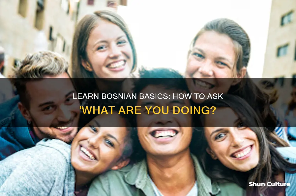how to say what are you doing in bosnian