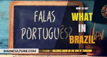 Mastering Brazilian Portuguese: Essential Phrases for Asking 'What' in Brazil