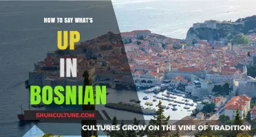 How to Say 'What's Up' in Bosnian: A Quick Language Guide