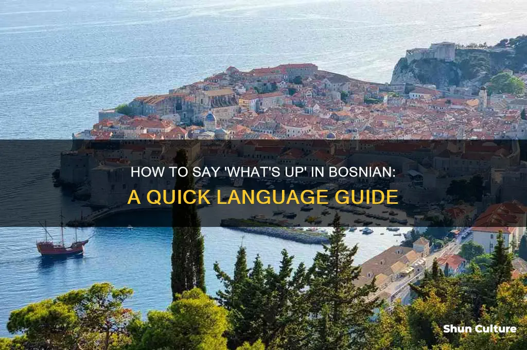 how to say what