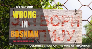 Expressing What’s Wrong in Bosnian: A Practical Language Guide