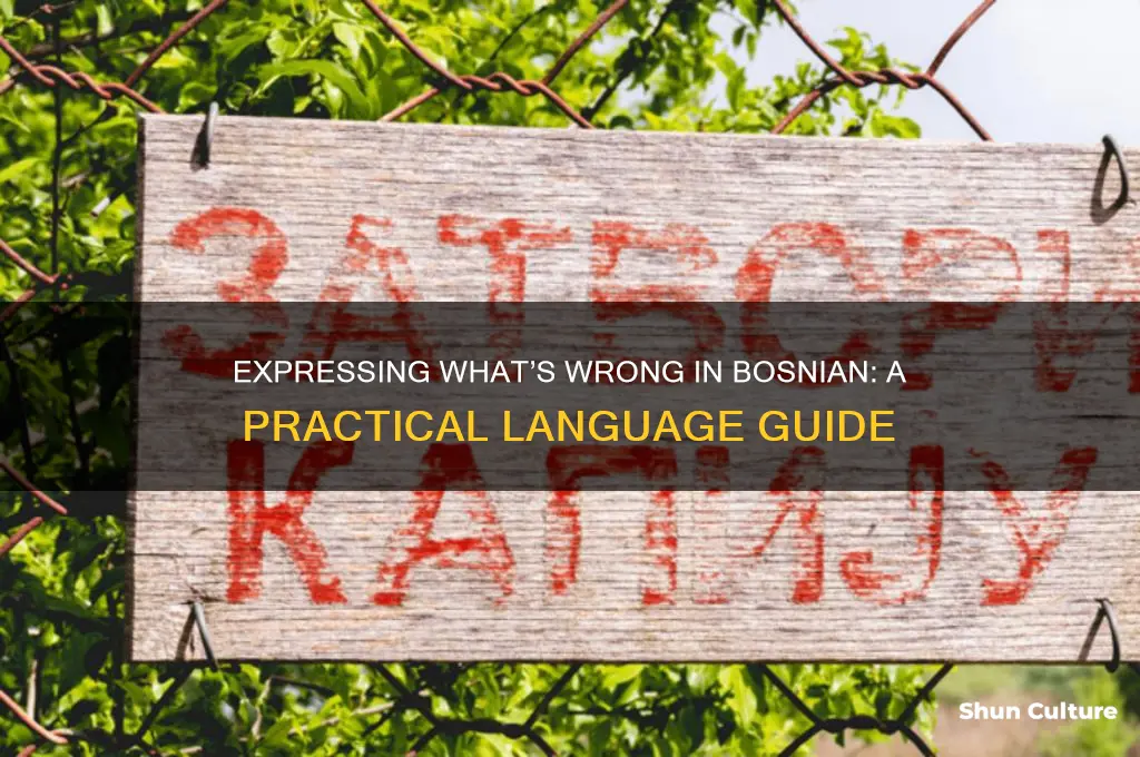 how to say whats wrong in bosnian