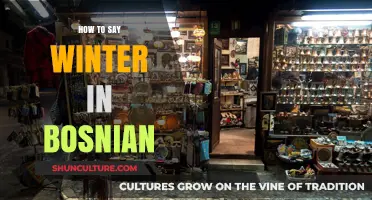 Mastering Bosnian Vocabulary: Learn How to Say Winter in Bosnian