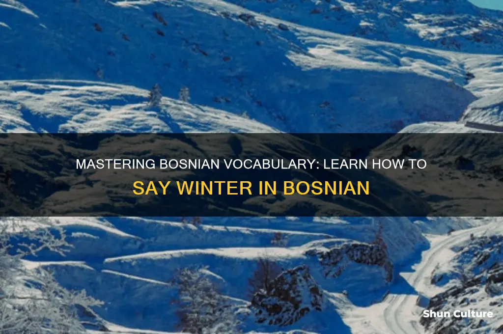 how to say winter in bosnian