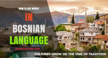 Discovering Bosnian: How to Say 'World' in the Bosnian Language