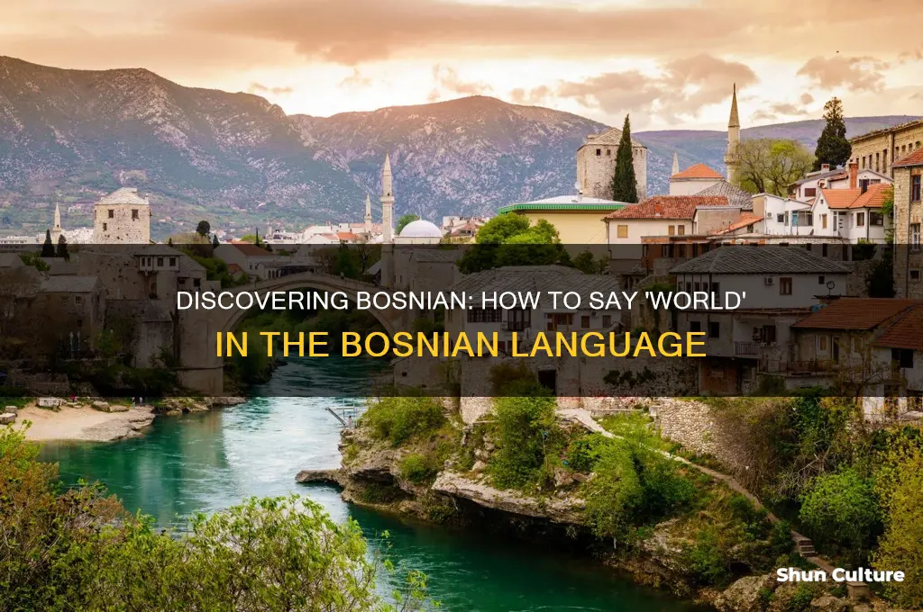 how to say world in bosnian language