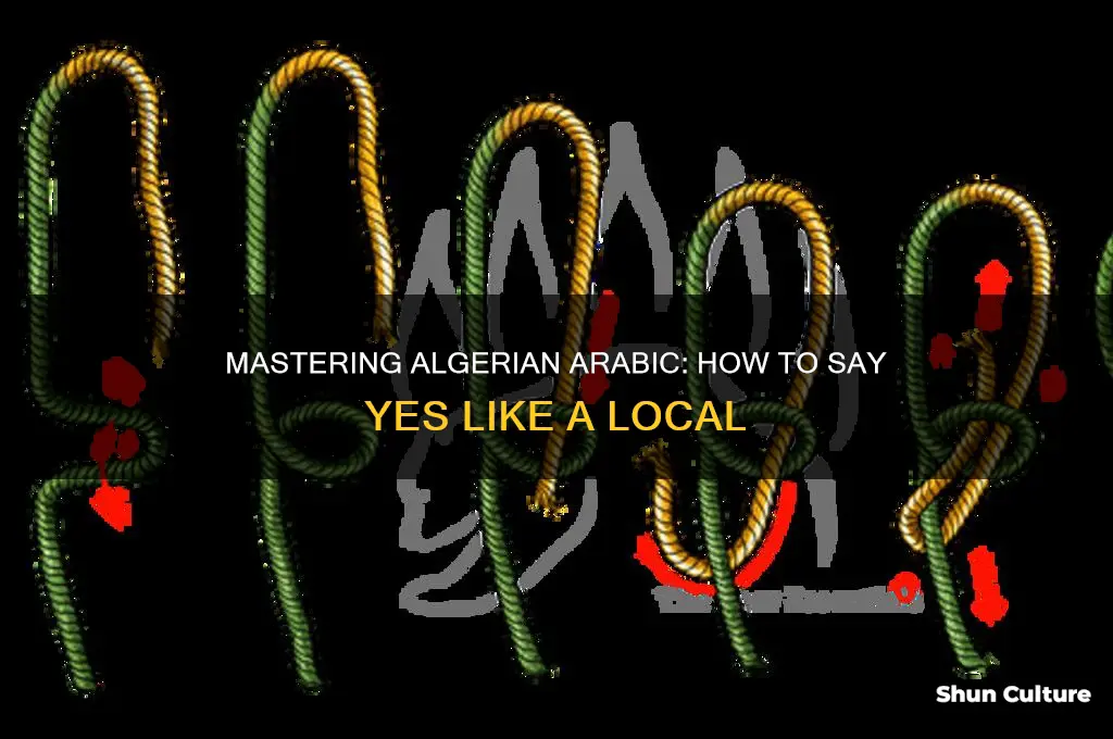 how to say yes in algeria