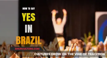 Mastering Brazilian Affirmations: How to Say Yes Like a Local
