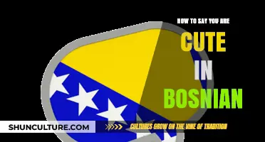 Expressing 'You Are Cute' in Bosnian: A Charming Language Guide