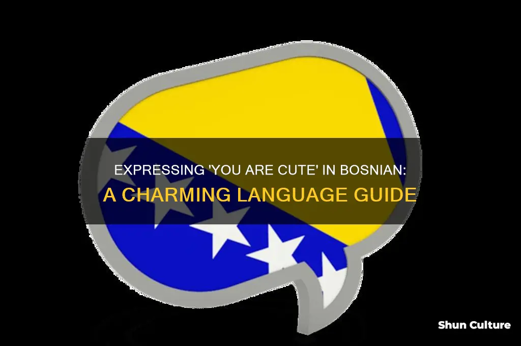 how to say you are cute in bosnian