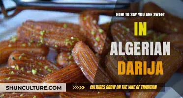 Expressing 'You Are Sweet' in Algerian Darija: A Quick Language Guide
