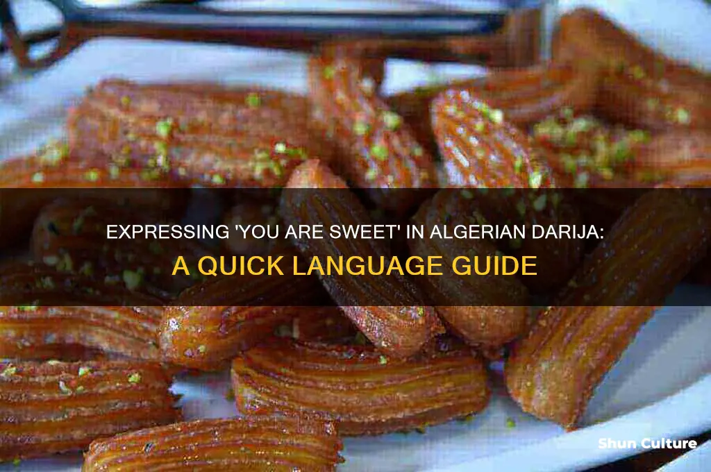 how to say you are sweet in algerian darija