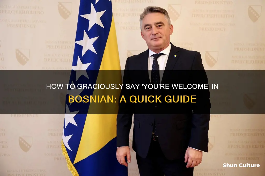 how to say you are welcome in bosnian