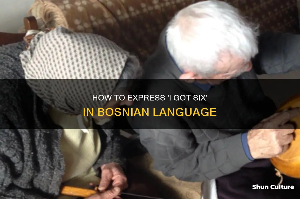 how to say you got six in bosnian