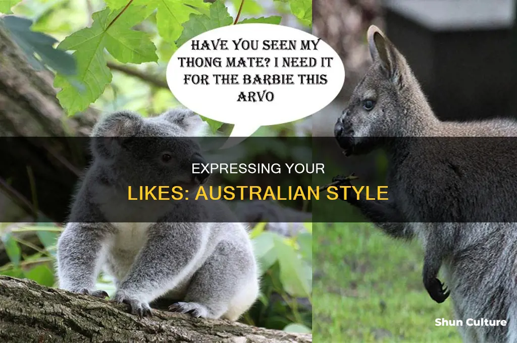 how to say you like something in australia
