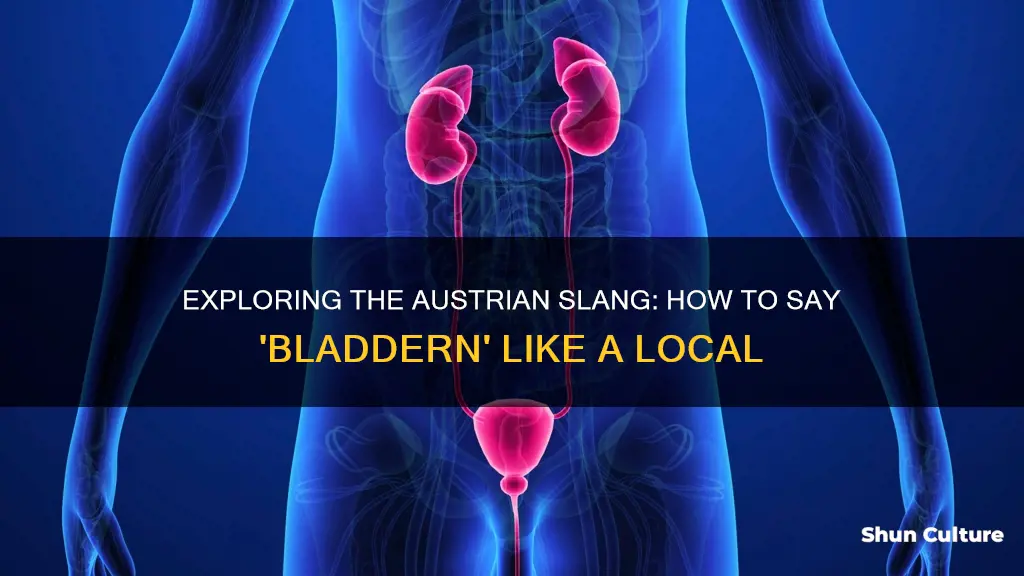 how to saybladder in austria