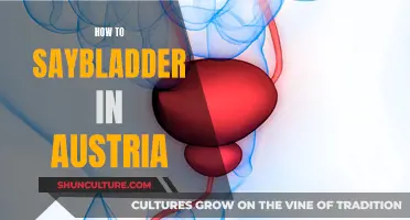 Speaking Bladder in Austria: A Language Guide