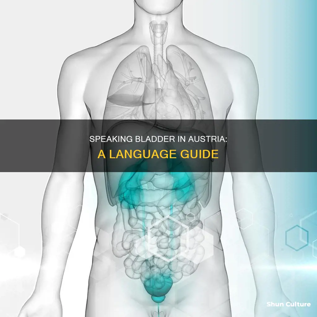 how to saybladder in austria