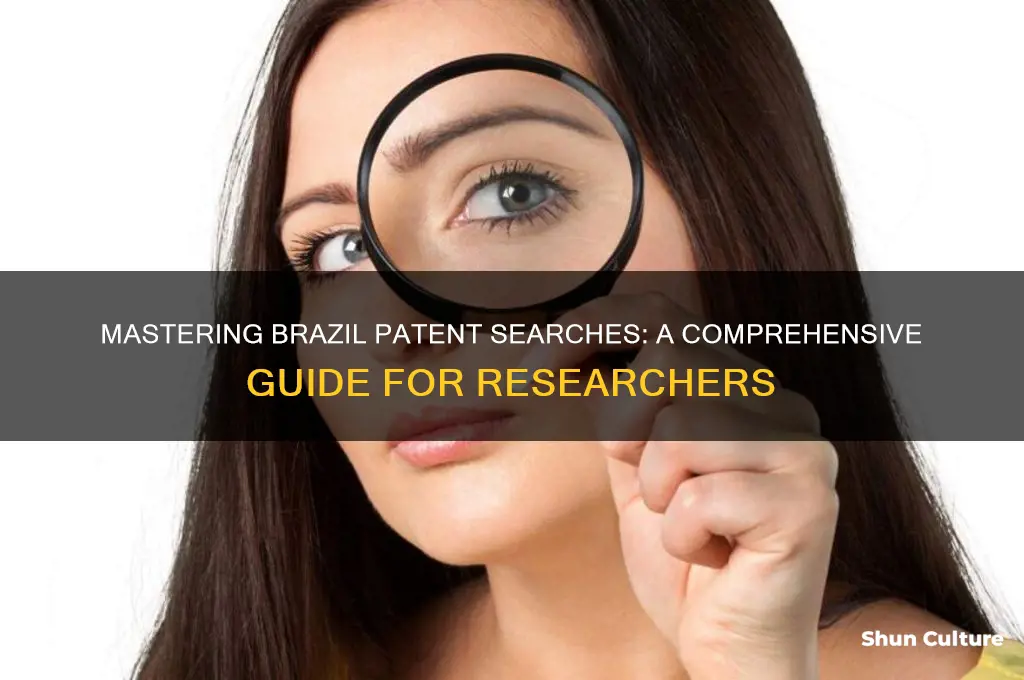 how to search brazil patents