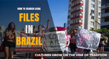 Efficiently Navigating Brazil's Legal File Search Process: A Comprehensive Guide