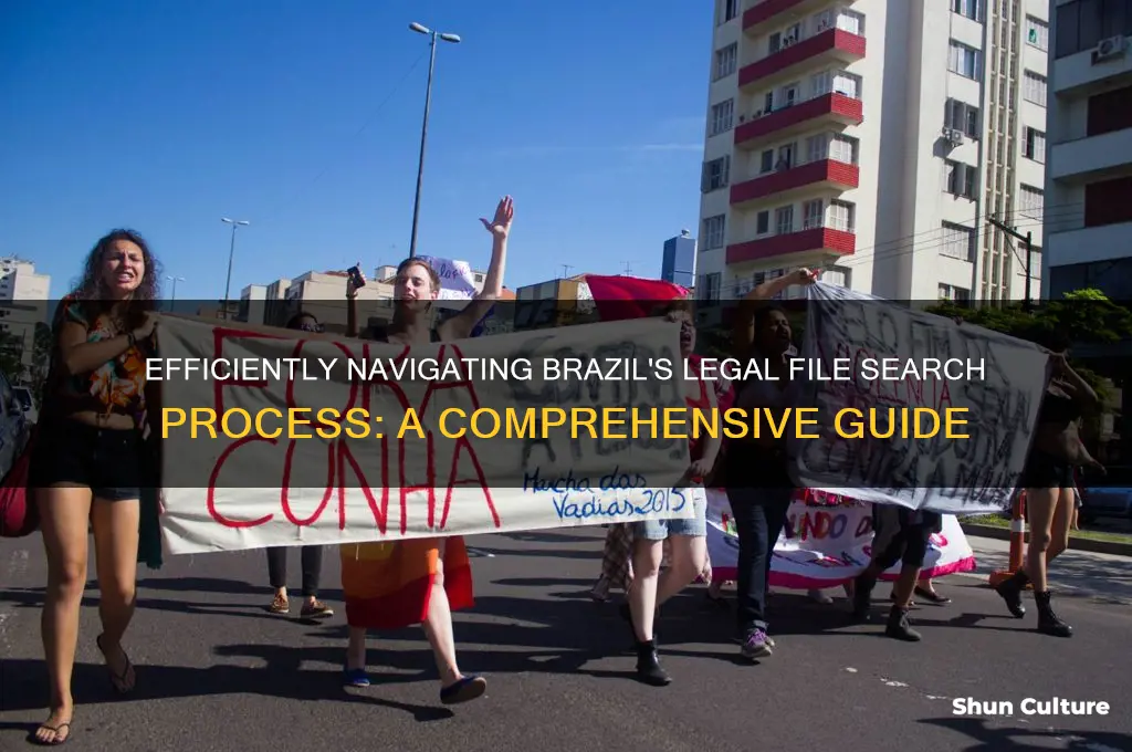 how to search legal files in brazil
