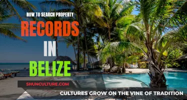 Belize Property Records: A Guide to Searching