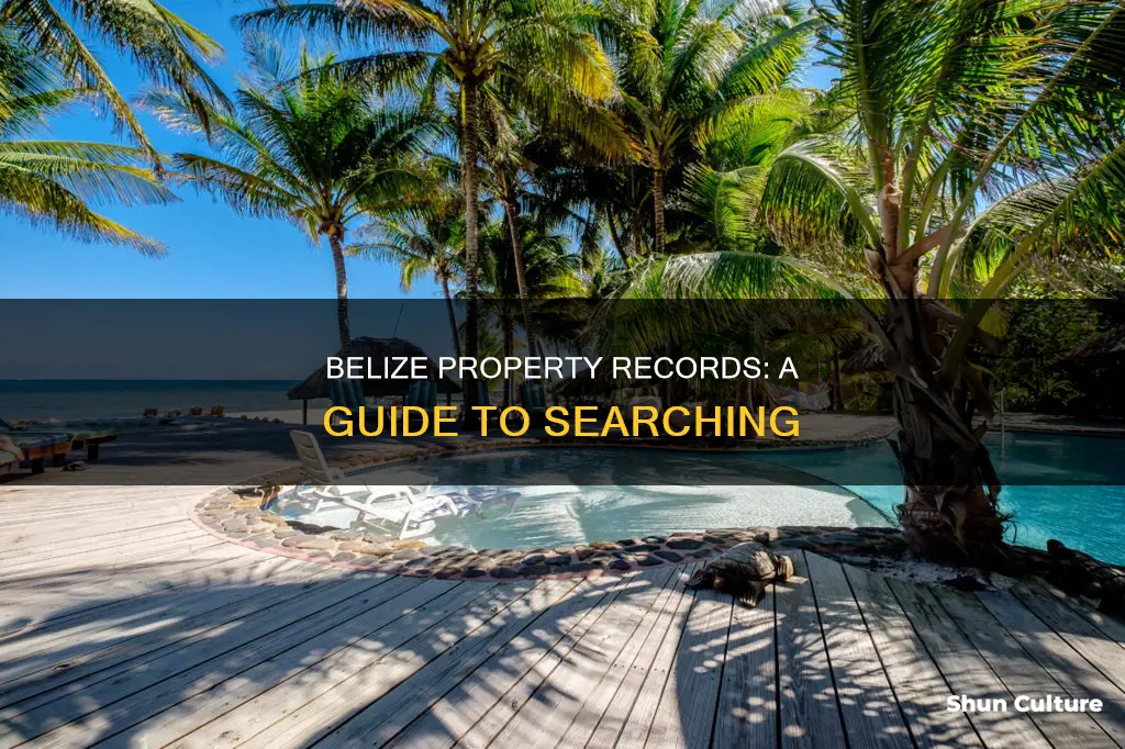 how to search property records in belize