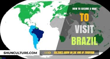 Essential Steps to Secure Your Brazilian Visa for a Smooth Visit