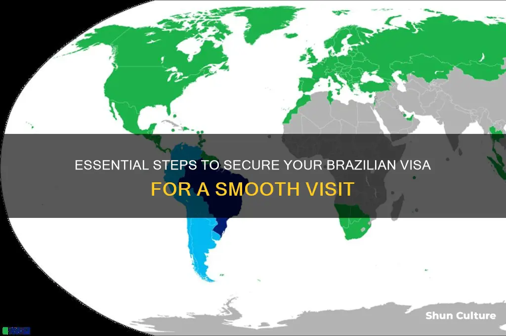 how to secure a visa to visit brazil