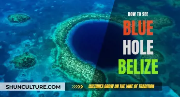 Exploring Belize's Blue Hole: A Guide to Witnessing the Wonder