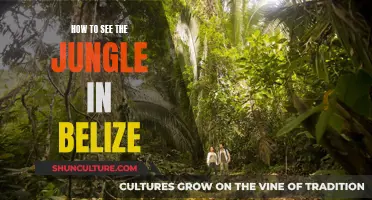 Belize's Jungle: A Guide to Exploring Nature's Paradise