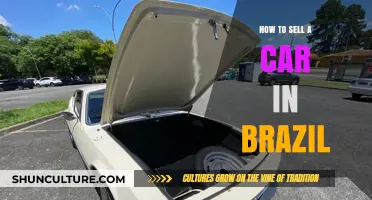 Selling Your Car in Brazil: A Step-by-Step Guide to Success