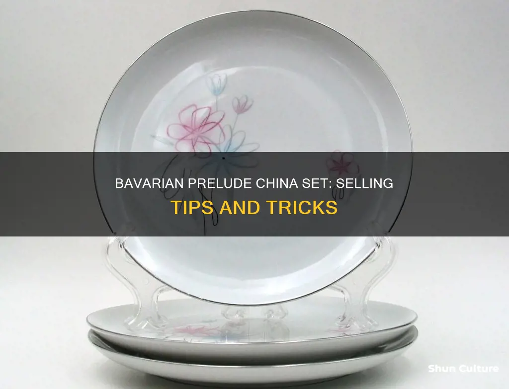 how to sell bavarian prelude china set