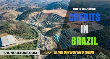 Unlocking Profits: A Guide to Selling Carbon Credits in Brazil