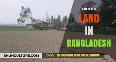 Selling Land in Bangladesh: A Comprehensive Guide to Maximize Profits