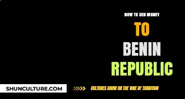 Secure and Efficient Ways to Send Money to Benin Republic