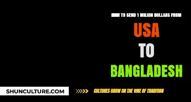 Efficiently Transferring $1 Million from USA to Bangladesh: A Comprehensive Guide