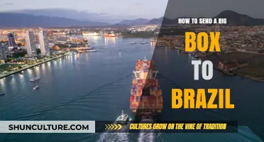 Shipping Large Packages to Brazil: A Comprehensive Guide for Hassle-Free Delivery